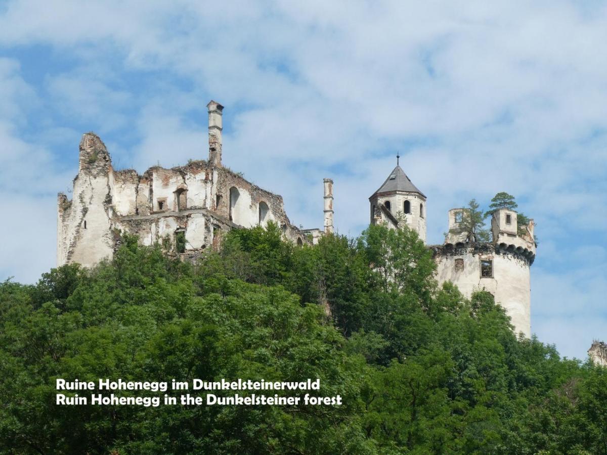 Gaestehaus Am Weinberg - Schlager Prinzersdorf المظهر الخارجي الصورة